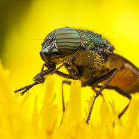 �������еľ���2