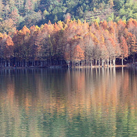 ��������.......������