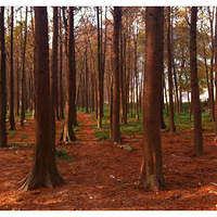 �����֣��ҵĵ�һ����