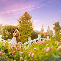 ���õĻ�ɴ������͵͵���㷢