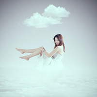 Ʈ�������� 