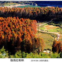 �ٺ������