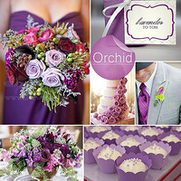 ��������á���2015���� �� ɫϵ����