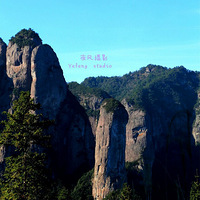 �����Ĺ���