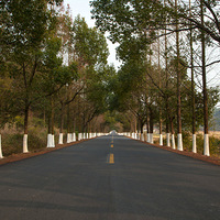 ���úÿ�����