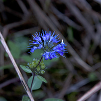 ���������ɾ�