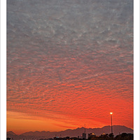 ������ϼ