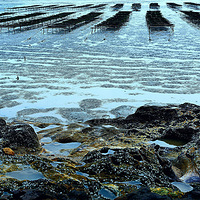 ������ʧ�Ľ�ʯ