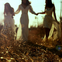 ����ټ����ܺ������Ƿ��ܺ�����-�Ҵ�����