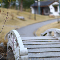 85�����ģ�������԰