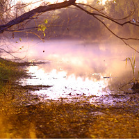 85�����ģ�������԰1