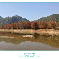 ��Ƭ��ɼ��