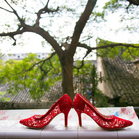 ���ƶ��������