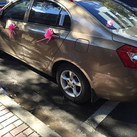 ��ɫ�鳵��