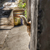 ������������