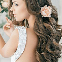 12���������������﷢��