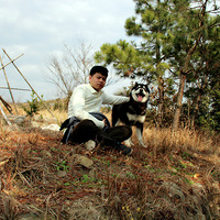 ���а��Ĺ���