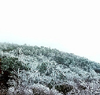 �������ɣ�˵�߾�