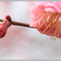 ������һ�Ρ�����--�����