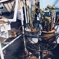 �����ˡ�������