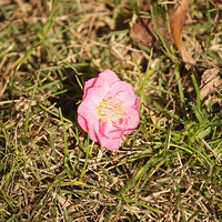 2015-2-9  ����