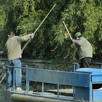 ÷������