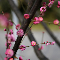 ��÷���������۷䶼����