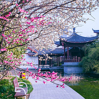 ������Ϣ