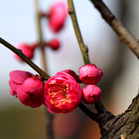 ÷������