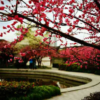 ��˼һҹ÷������