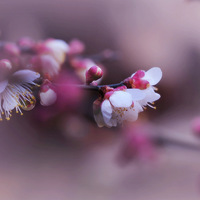 �ŷ�÷��������