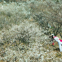 ��       �㡭������