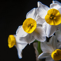 �����ˮ�ɻ�����