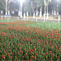 ҹ��������