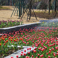 ������ɽ��԰��������