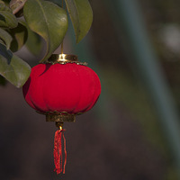 ��ζ̨��2015