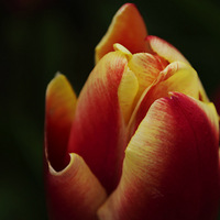 #����#������Ҳ����������Ŷ