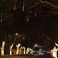 ���������ζ��ҹ��