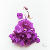 һ�����������㾪�Ķ��ǵ�ȹ��