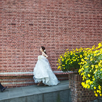 ������ޱޱ�������֮�µ���Ľ���