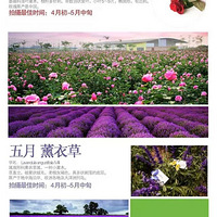 ����һ�꡾����ʱ��������˶ཿ����������Ǻá�������