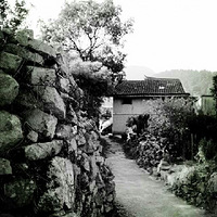 ɽ��Ŵ�
��������