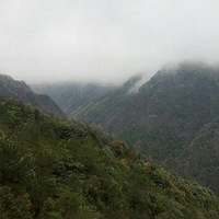 �������������-��