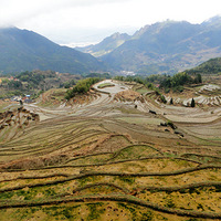 �ƺ�����