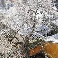 ��̨���������ͻ�6����ȥ���������ܱ�������