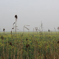 ���붫�������Ͳ˻� 