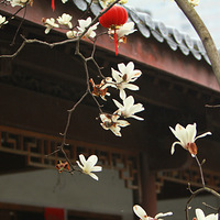 ��Ůѧ��--��������