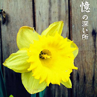 �������������Ƭ�����յ�����?