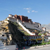 Ϊ����������