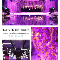 �����Ļ����ֳ�